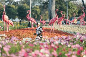 BIB: 
                            <button type="button" onclick="openModal(27344128)" class="btn btn-primary btn-sm float-right btn-popup" data-toggle="modal" data-target=".modal-high-quality">
                        <i class="fas fa-shopping-cart"></i> Add to Cart
                    </button>
                                            <button type="button" onclick="isThisMe(27344128, true)" class="btn btn-success btn-sm float-right btn-popup btn-isme hidden" data-toggle="tooltip" data-placement="bottom" title="นี่คือรูปของคุณใช่ไหม คลิกที่นี่เพื่อเอาเข้าอัลบั้ม">
                        <i class="fas fa-plus"></i> Add to album
                    </button>
                    <button type="button" onclick="isThisMe(27344128, false)" class="btn btn-warning btn-sm float-right btn-popup btn-isnotme hidden">
                        <i class="fas fa-ban"></i> Remove from album
                    </button>